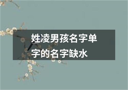 姓凌男孩名字单字的名字缺水