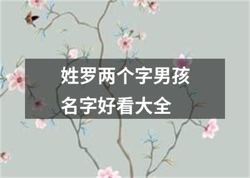 姓罗两个字男孩名字好看大全