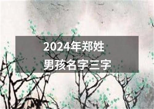 2024年郑姓男孩名字三字