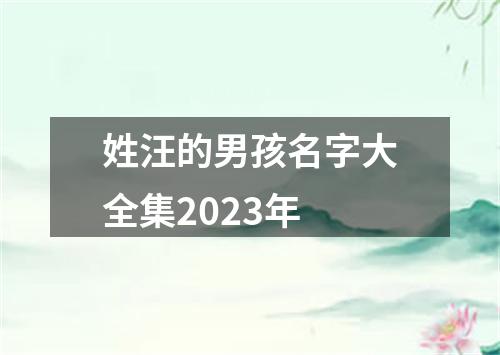 姓汪的男孩名字大全集2023年
