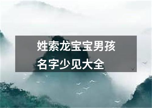 姓索龙宝宝男孩名字少见大全