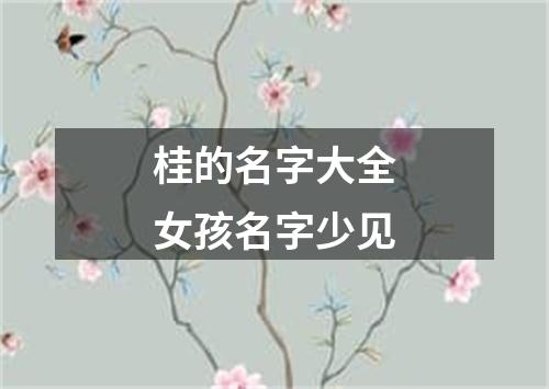 桂的名字大全女孩名字少见
