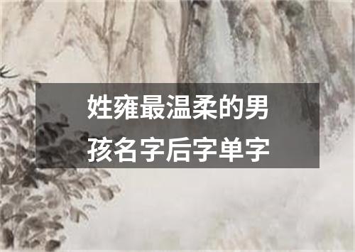 姓雍最温柔的男孩名字后字单字