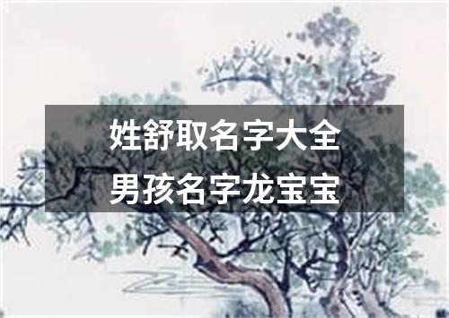 姓舒取名字大全男孩名字龙宝宝
