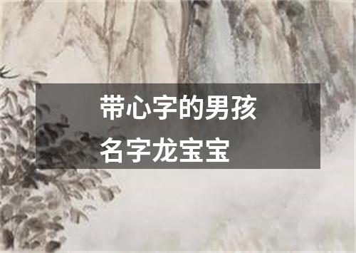 带心字的男孩名字龙宝宝