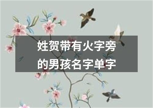 姓贺带有火字旁的男孩名字单字