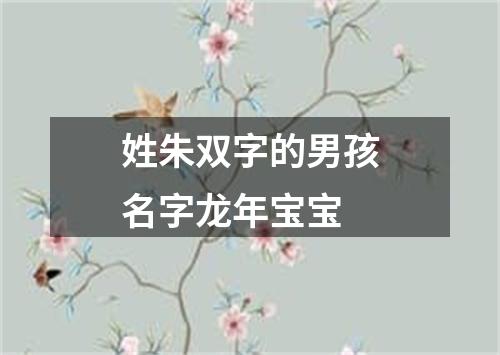 姓朱双字的男孩名字龙年宝宝