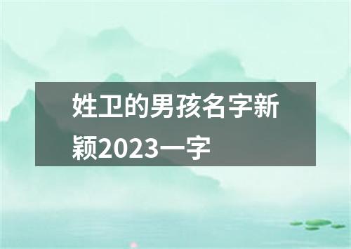 姓卫的男孩名字新颖2023一字