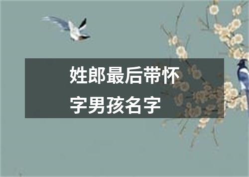 姓郎最后带怀字男孩名字