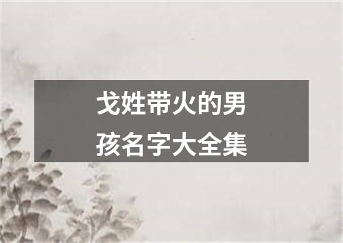 戈姓带火的男孩名字大全集