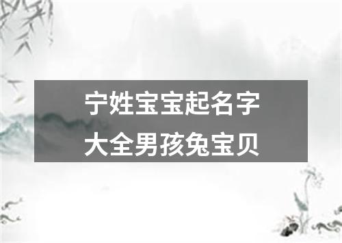 宁姓宝宝起名字大全男孩兔宝贝