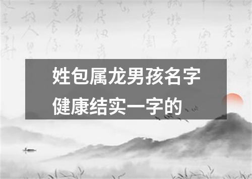 姓包属龙男孩名字健康结实一字的