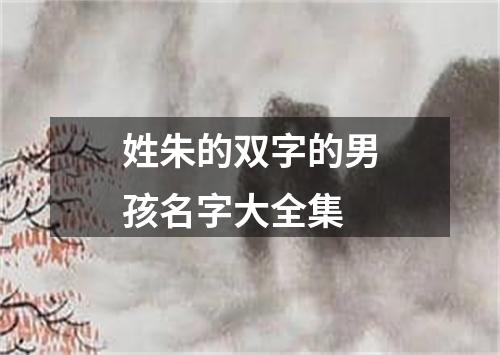 姓朱的双字的男孩名字大全集