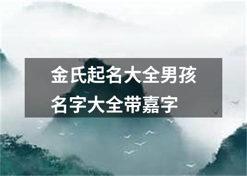 金氏起名大全男孩名字大全带嘉字