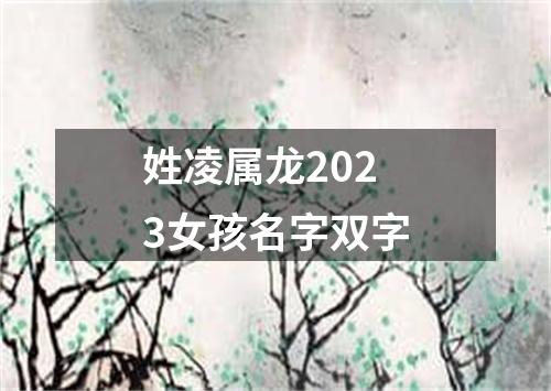 姓凌属龙2023女孩名字双字