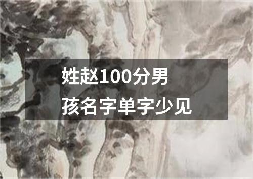 姓赵100分男孩名字单字少见