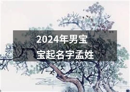 2024年男宝宝起名字孟姓