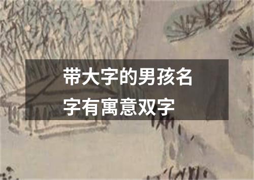 带大字的男孩名字有寓意双字