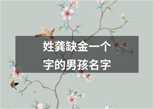 姓龚缺金一个字的男孩名字
