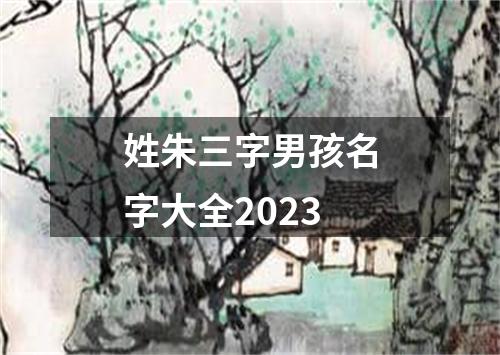 姓朱三字男孩名字大全2023
