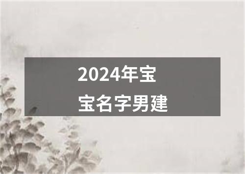 2024年宝宝名字男建
