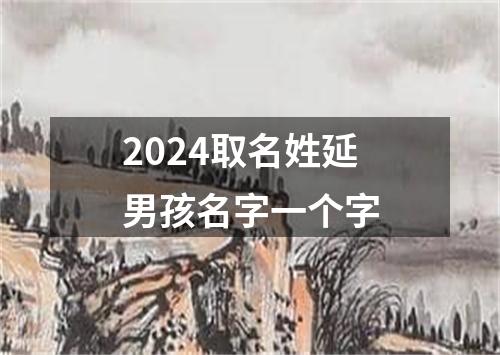 2024取名姓延男孩名字一个字