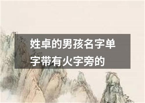 姓卓的男孩名字单字带有火字旁的