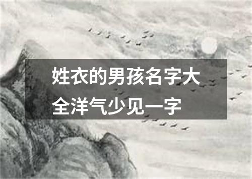 姓衣的男孩名字大全洋气少见一字