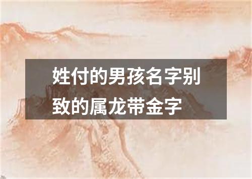 姓付的男孩名字别致的属龙带金字