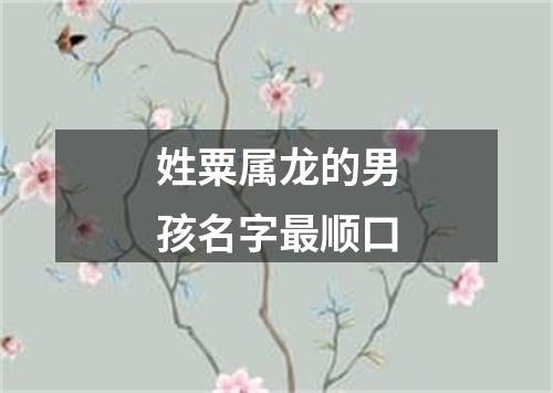 姓粟属龙的男孩名字最顺口