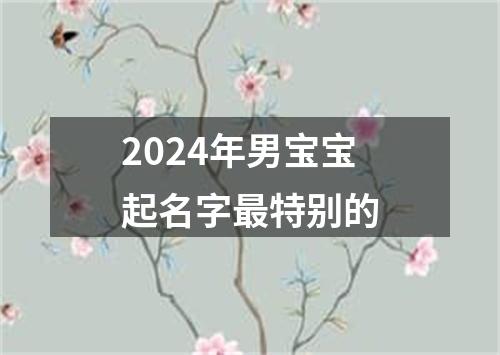 2024年男宝宝起名字最特别的