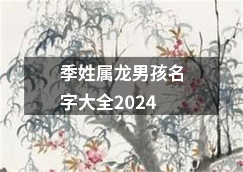季姓属龙男孩名字大全2024