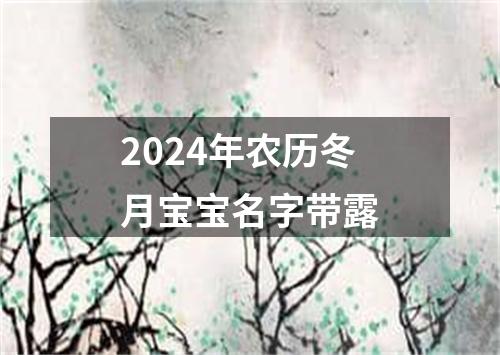2024年农历冬月宝宝名字带露