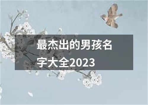 最杰出的男孩名字大全2023