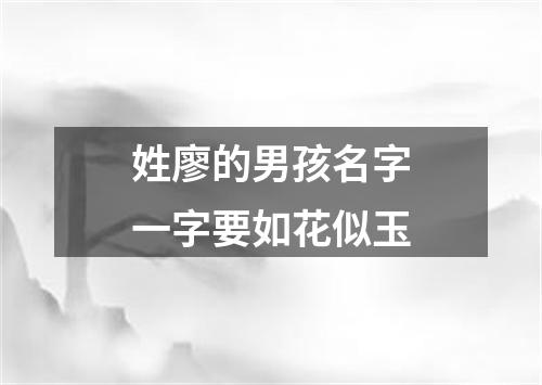 姓廖的男孩名字一字要如花似玉