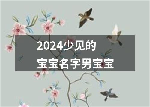2024少见的宝宝名字男宝宝