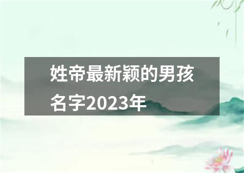 姓帝最新颖的男孩名字2023年