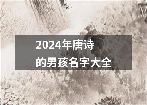 2024年唐诗的男孩名字大全