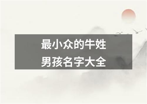 最小众的牛姓男孩名字大全