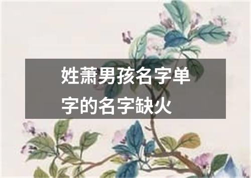 姓萧男孩名字单字的名字缺火
