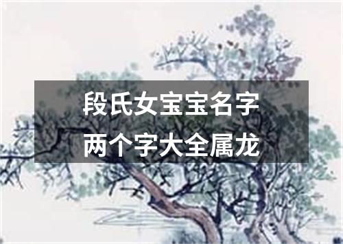 段氏女宝宝名字两个字大全属龙