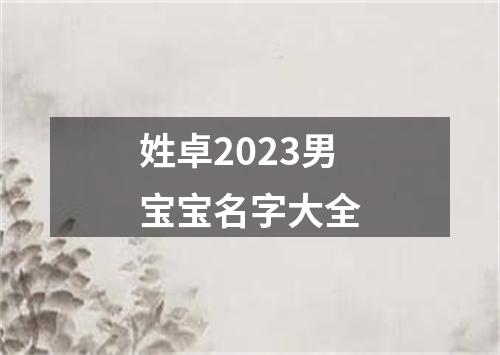 姓卓2023男宝宝名字大全