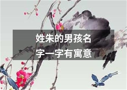 姓朱的男孩名字一字有寓意