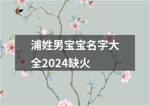 浦姓男宝宝名字大全2024缺火