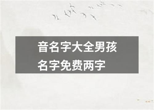 音名字大全男孩名字免费两字