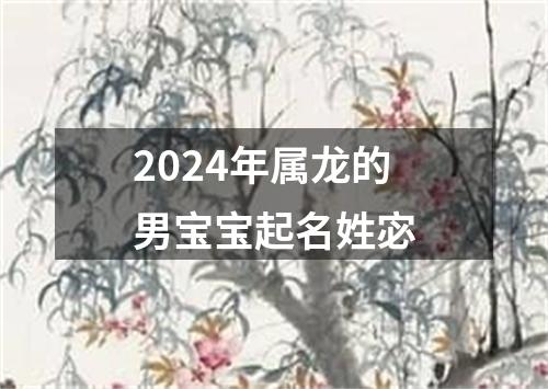 2024年属龙的男宝宝起名姓宓