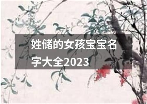 姓储的女孩宝宝名字大全2023