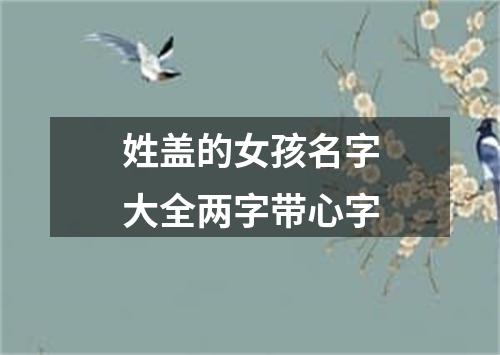 姓盖的女孩名字大全两字带心字