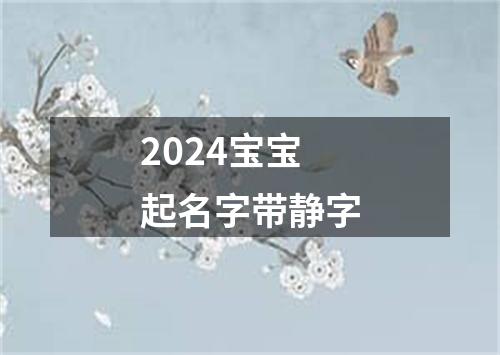 2024宝宝起名字带静字