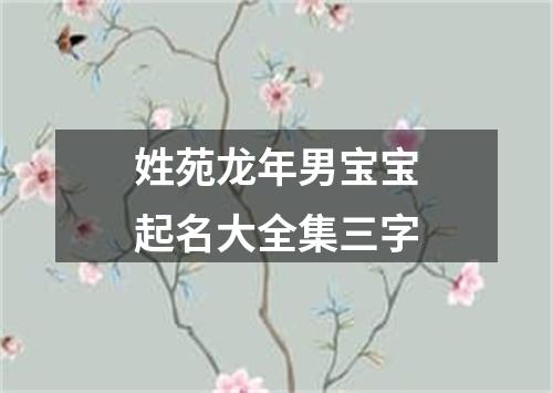 姓苑龙年男宝宝起名大全集三字
